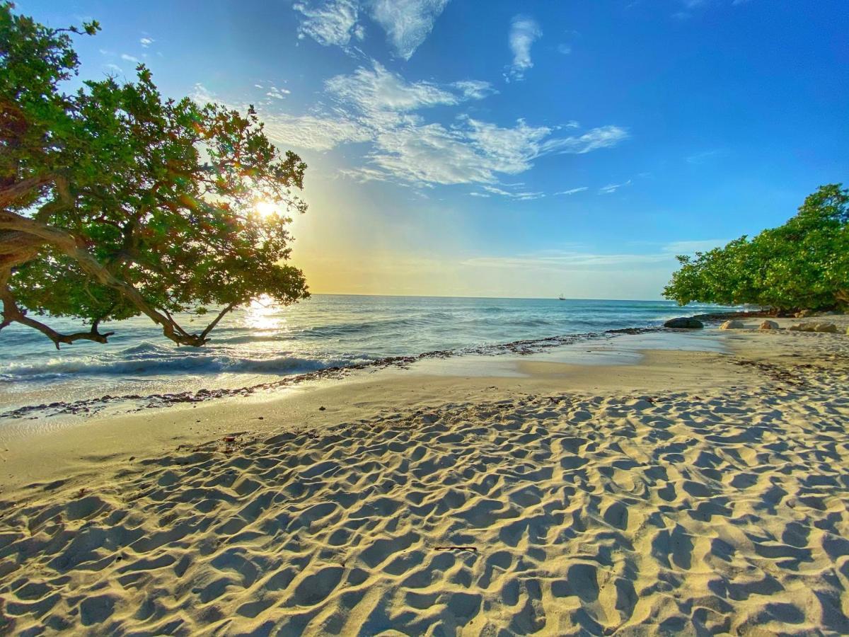 Palm Beach Paradise Vacation Rental Екстер'єр фото
